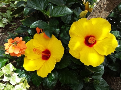20150712_114034.jpg